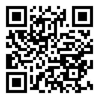 飞鸟租号-极速租号玩游戏