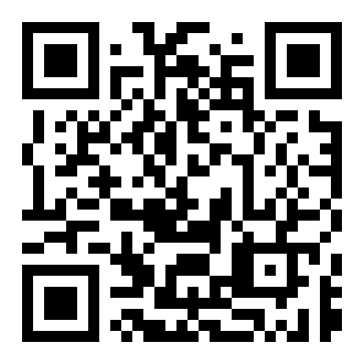 斑马车主极速版