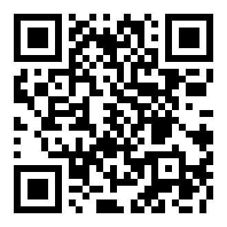 交通枢纽调度者