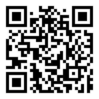 驾驶大师挑战赛